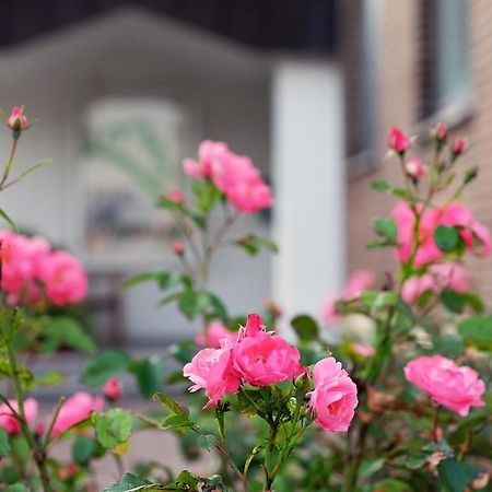 Hotel Am Steinberg Hildesheim Dış mekan fotoğraf